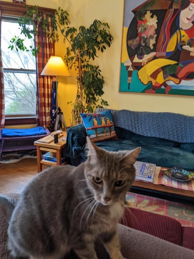 Bed and Breakfast The One Cat Brattleboro Exterior foto