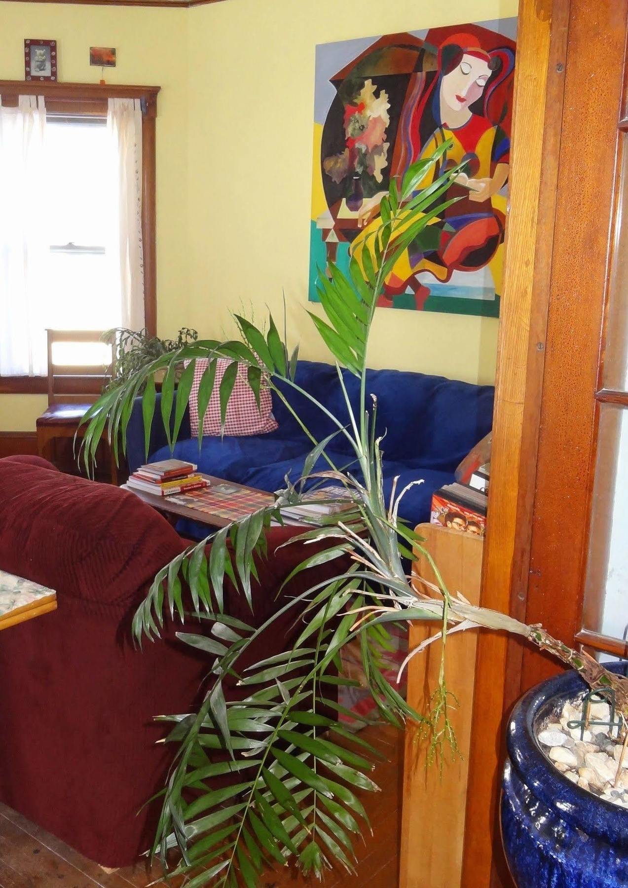 Bed and Breakfast The One Cat Brattleboro Exterior foto