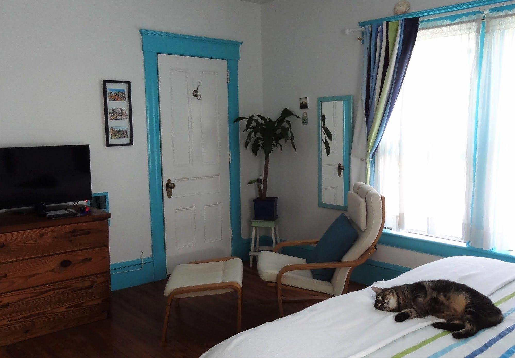 Bed and Breakfast The One Cat Brattleboro Exterior foto