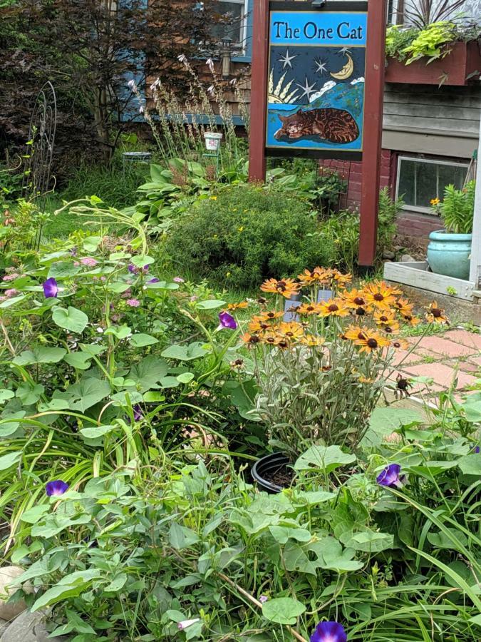 Bed and Breakfast The One Cat Brattleboro Exterior foto